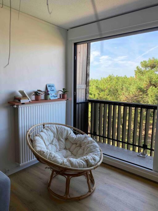 Grand T2 A 150M De La Plage Appartement Seignosse Buitenkant foto